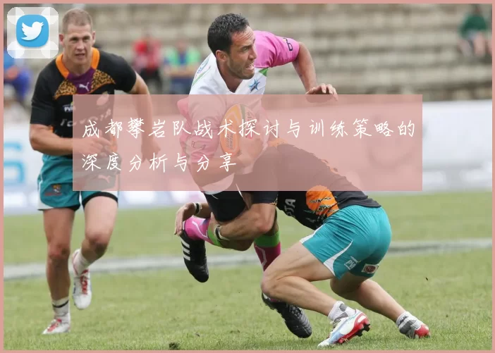 成都攀岩队战术探讨与训练策略的深度分析与分享