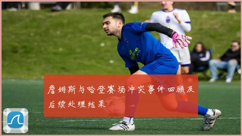 詹姆斯与哈登赛场冲突事件回顾及后续处理结果