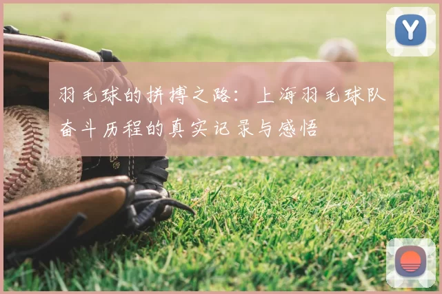 羽毛球的拼搏之路：上海羽毛球队奋斗历程的真实记录与感悟