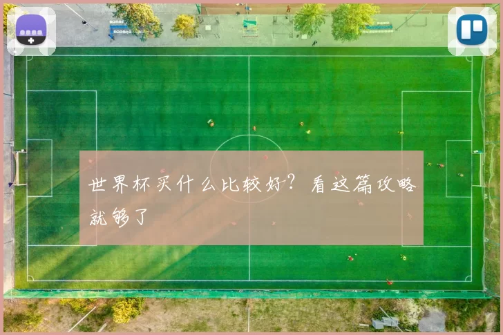 世界杯买什么比较好?看这篇攻略就够了