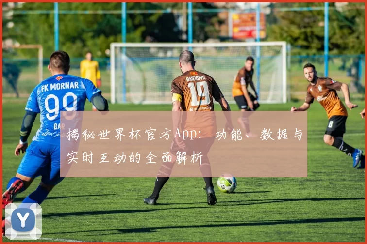 揭秘世界杯官方App:功能、数据与实时互动的全面解析