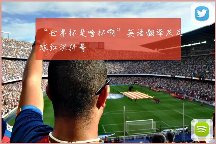 “世界杯是啥杯啊”英语翻译及足球知识科普