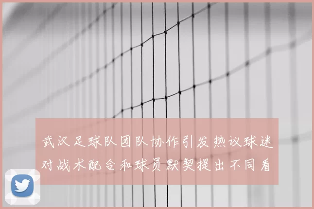 武汉足球队团队协作引发热议球迷对战术配合和球员默契提出不同看法