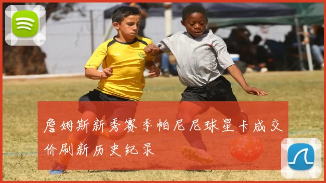 詹姆斯新秀赛季帕尼尼球星卡成交价刷新历史纪录