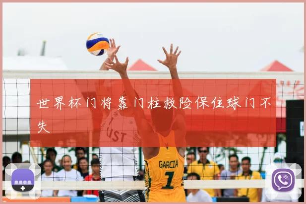 世界杯门将靠门柱救险保住球门不失
