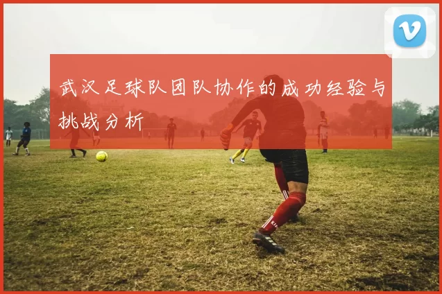 武汉足球队团队协作的成功经验与挑战分析