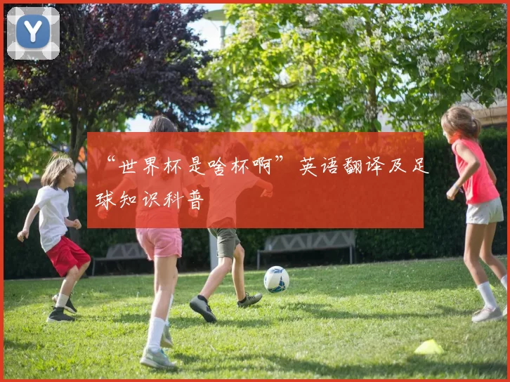 “世界杯是啥杯啊”英语翻译及足球知识科普