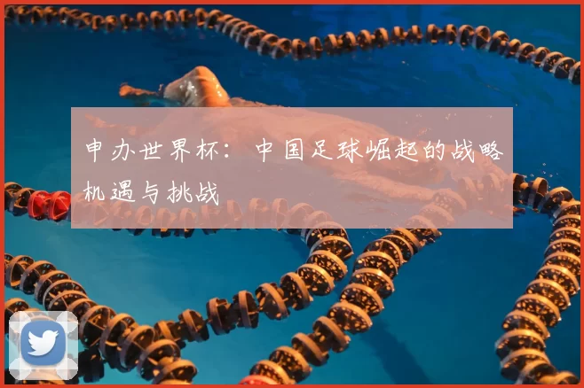 申办世界杯:中国足球崛起的战略机遇与挑战