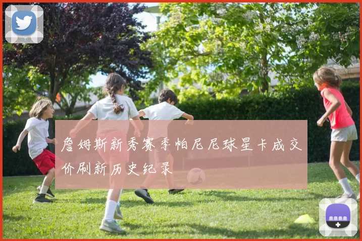 詹姆斯新秀赛季帕尼尼球星卡成交价刷新历史纪录